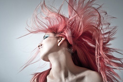 pink-hair-1450045__340